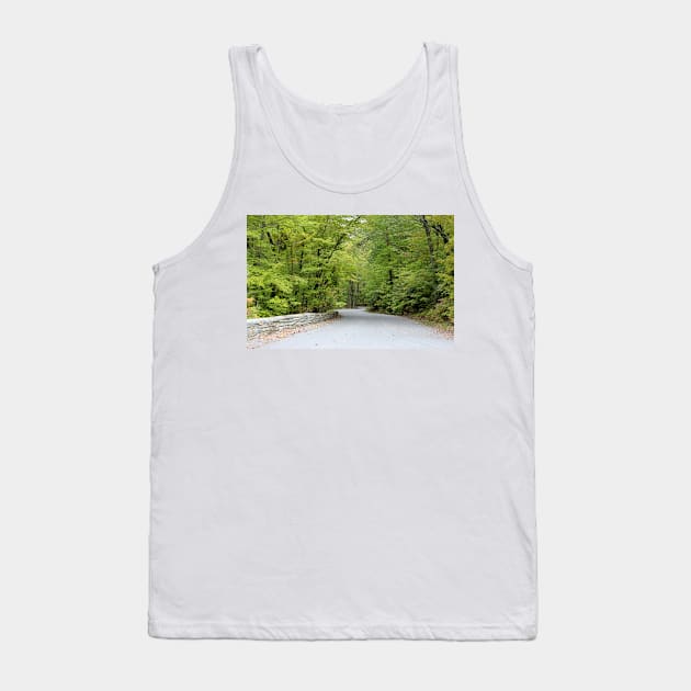 Winding Road Tank Top by Cynthia48